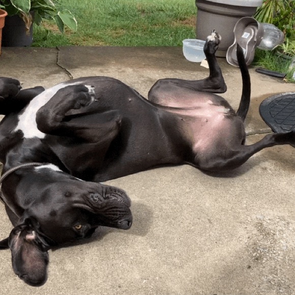 Meet your Posher, Jon - Picture 11 of 11